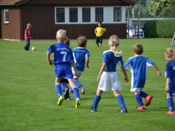 SVG-Ludwigsmoos 08.06 (449)