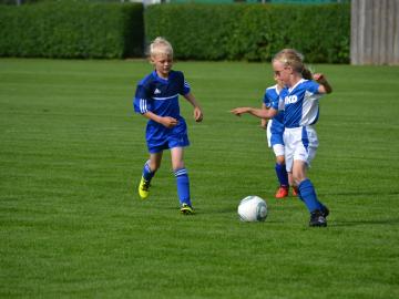 SVG-Ludwigsmoos 08.06 (530)