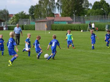SVG-Ludwigsmoos 08.06 (752)