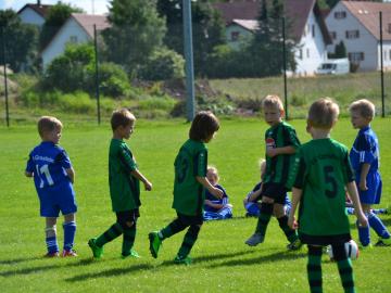 SVG-Karslshuld 15.06 (101)