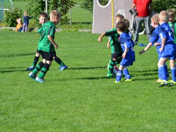 SVG-Karslshuld 15.06 (225)